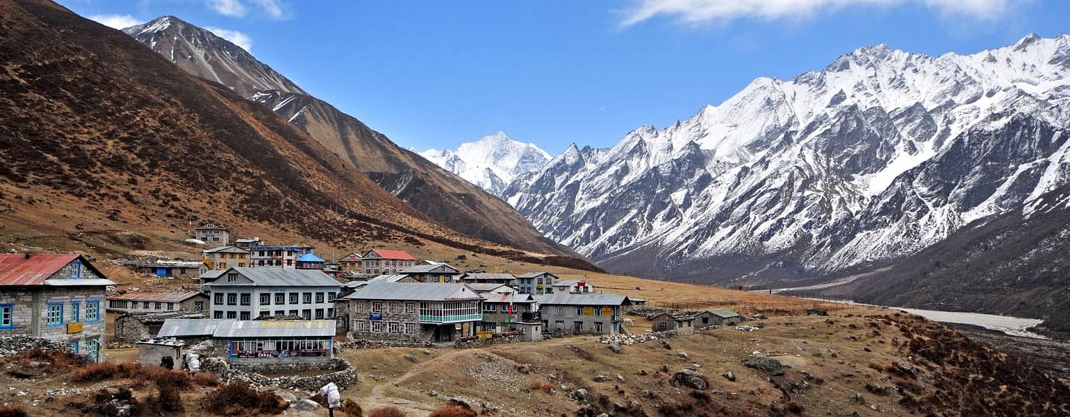 Langtang Valley View