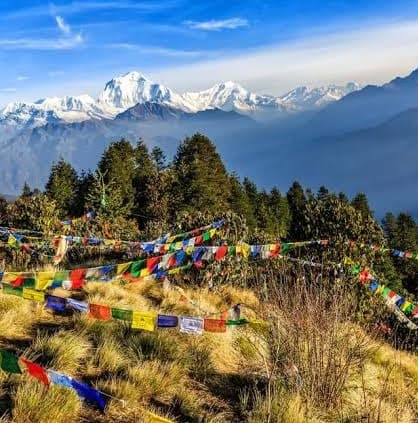 Mohare Danda and Poon Hill Trek Mohare Danda and Poon Hill Trek